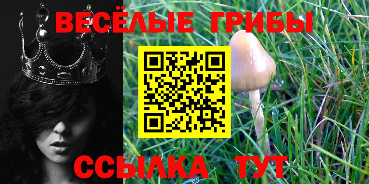 Псилоцибиновые грибы Cubensis  Вход с VPN  Костомукша 