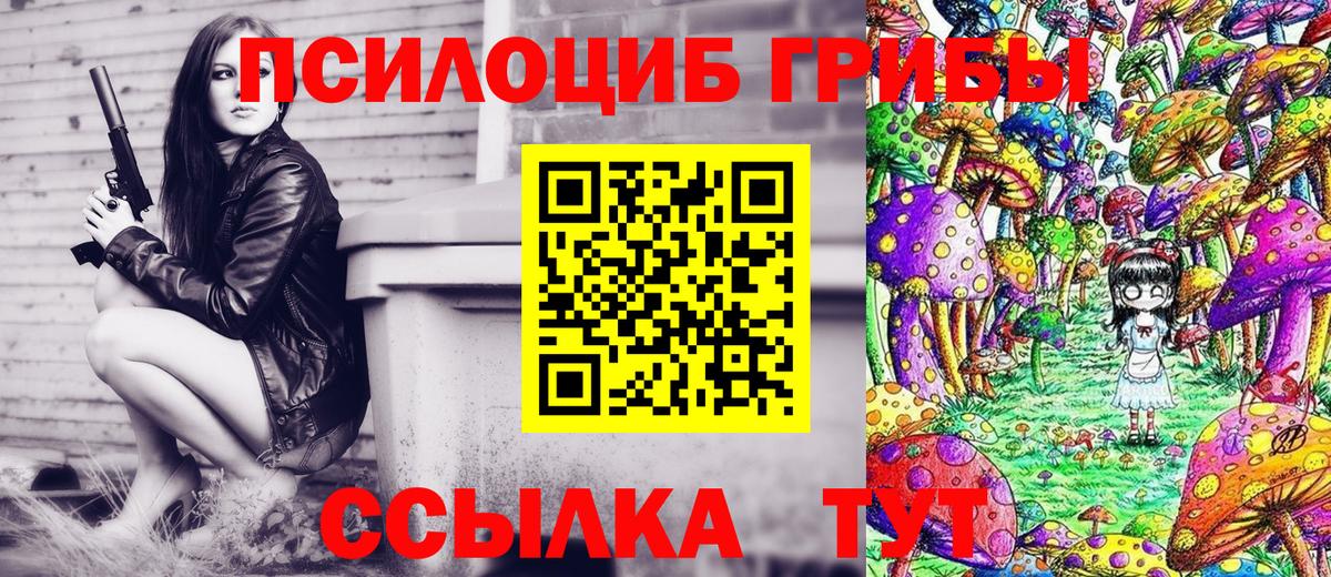 Псилоцибиновые грибы Psilocybine cubensis Костомукша